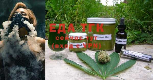 индика Нязепетровск