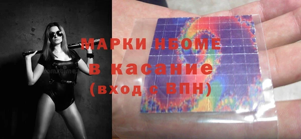 индика Нязепетровск