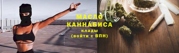 индика Нязепетровск