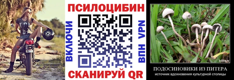 Псилоцибиновые грибы прущие грибы  нарко площадка наркотические препараты  Южа 